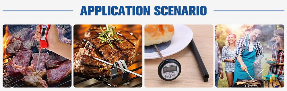 Remote Digital Meat Thermometer
